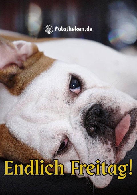 Endlich Freitag!