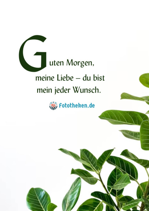 Guten Morgen, meine Liebe – du bist mein jeder Wunsch