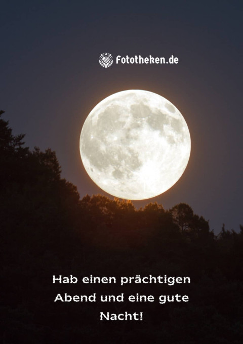 Hab einen prächtigen Abend und eine gute Nacht!