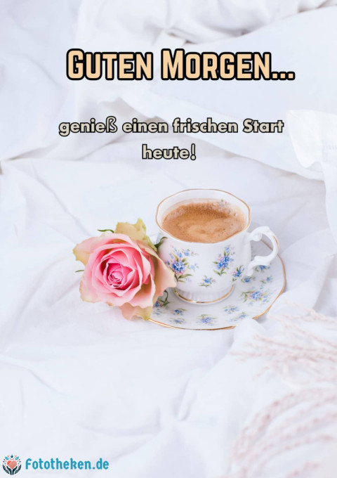 Hab einen friedlichen Morgen und einen produktiven Tag!
