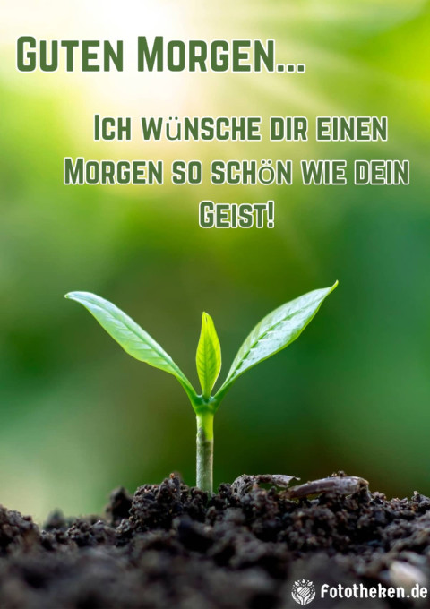 Ich wünsche dir einen Morgen so schön wie dein Geist!