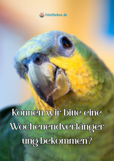 Können wir bitte eine Wochenendverlängerung bekommen