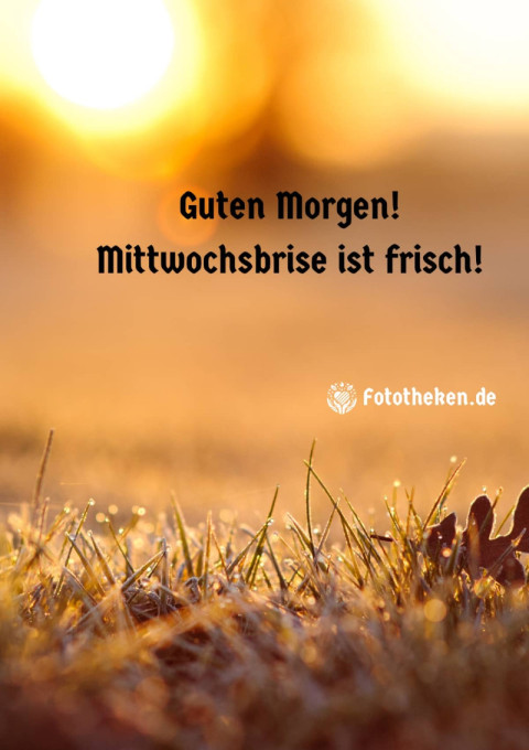 Guten Morgen! Mittwochsbrise ist frisch!