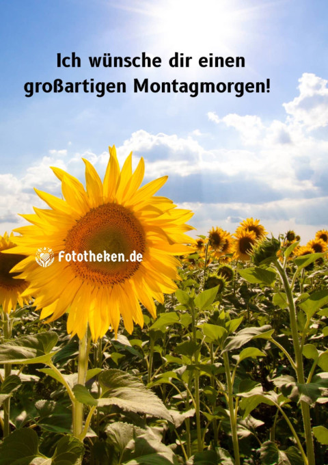 Ich wünsche dir einen großartigen Montagmorgen!