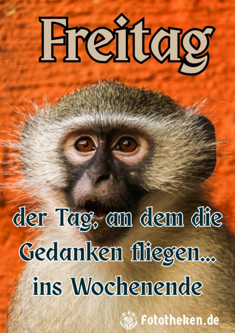 Freitag – der Tag, an dem die Gedanken fliegen    ins Wochenende