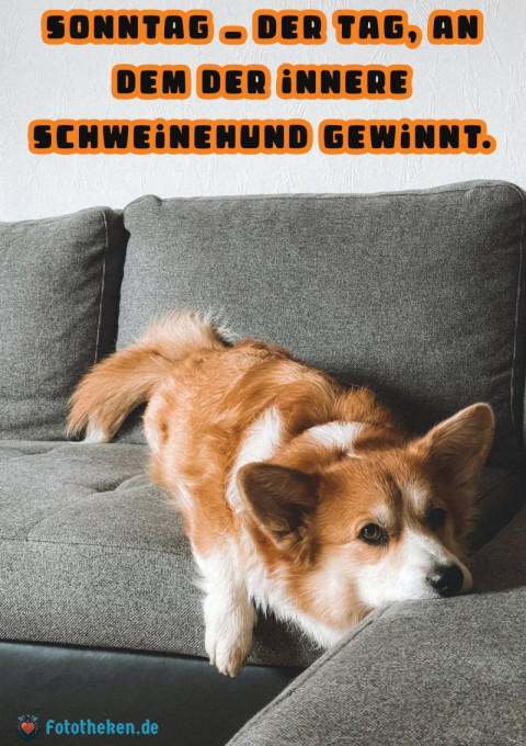 Sonntag – der Tag, an dem der innere Schweinehund gewinnt
