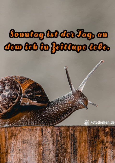 Sonntag ist der Tag, an dem ich in Zeitlupe lebe