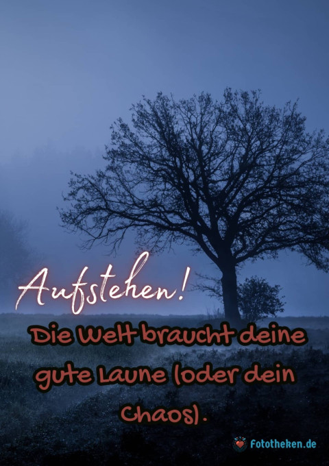 Aufstehen! Die Welt braucht deine gute Laune (oder dein Chaos)