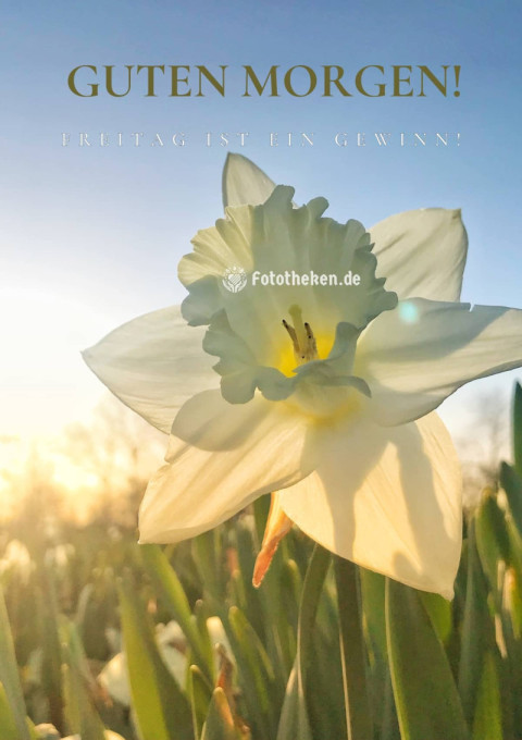 Guten Morgen! Freitag ist ein Gewinn!