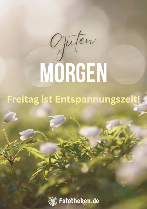 Guten Morgen, Freitag ist Entspannungszeit!