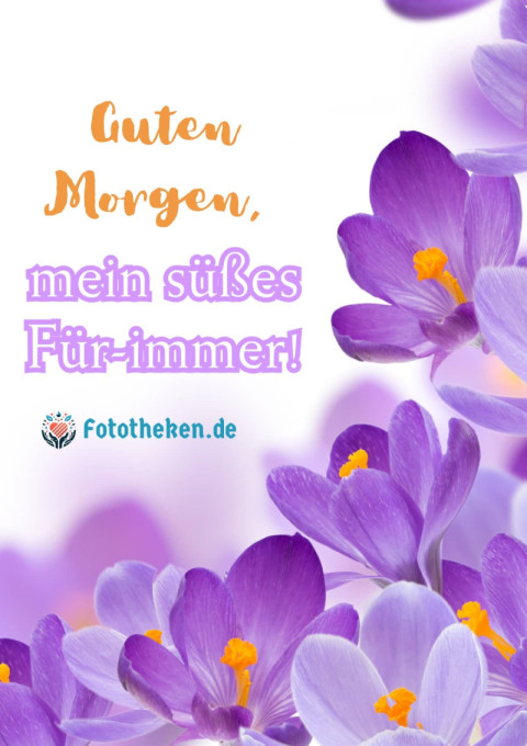 Guten Morgen, mein süßes Für immer!