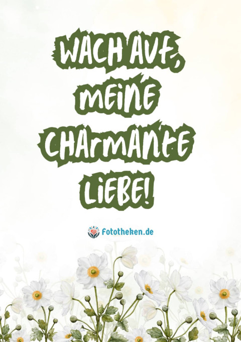 Wach auf, meine charmante Liebe!