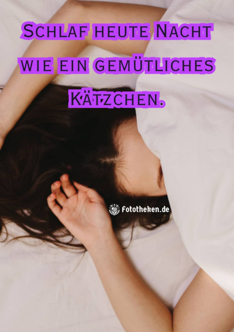 Schlaf heute Nacht wie ein gemütliches Kätzchen