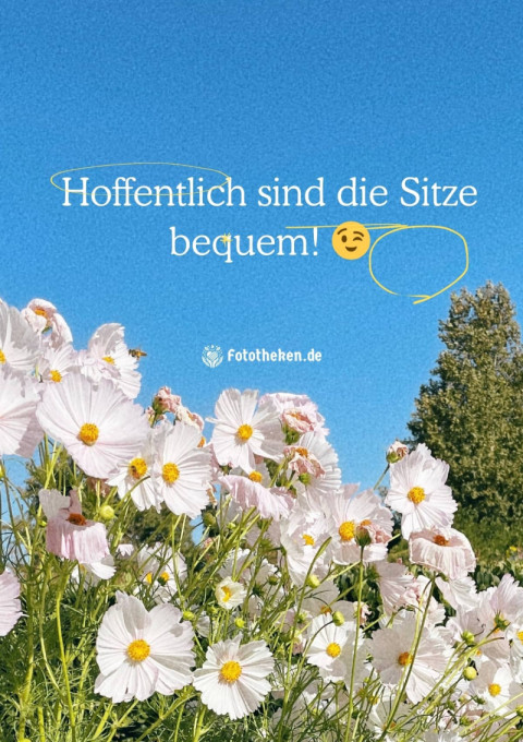 Hoffentlich sind die Sitze bequem! ?