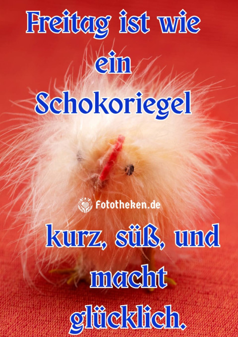 Freitag ist wie ein Schokoriegel – kurz, süß, und macht glücklich