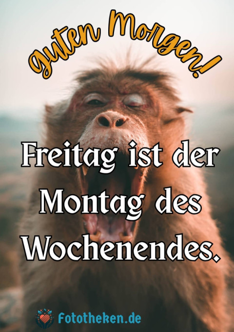 Guten Morgen! Freitag ist der Montag des Wochenendes