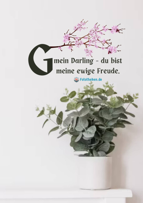 Guten Morgen, mein Darling – du bist meine ewige Freude