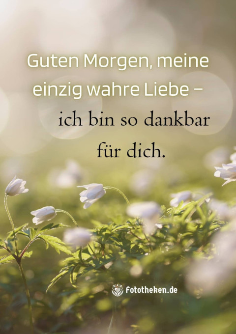 Guten Morgen, meine einzig wahre Liebe – ich bin so dankbar für dich