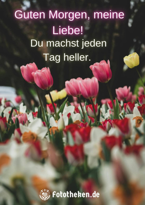 Guten Morgen, meine Liebe! Du machst jeden Tag heller
