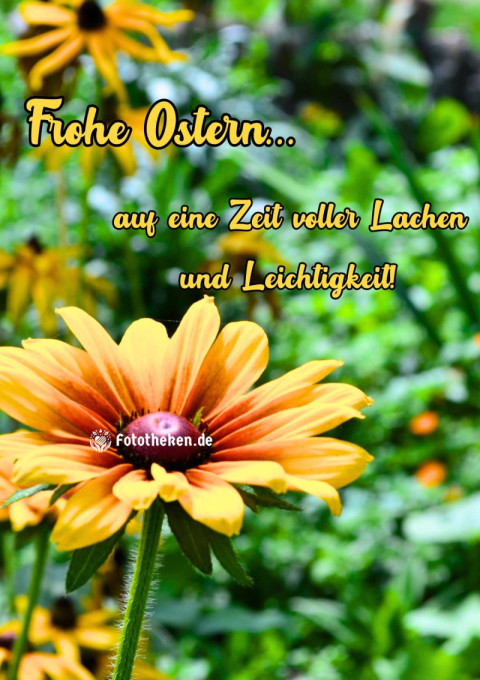 Frohe Ostern – auf eine Zeit voller Lachen und Leichtigkeit!