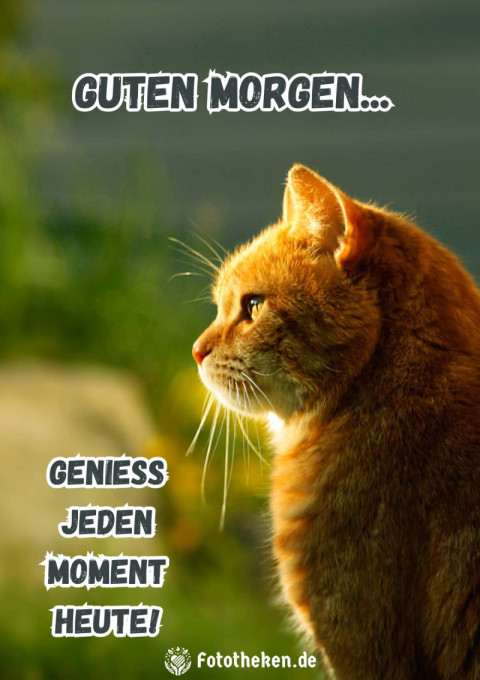 Guten Morgen, genieß jeden Moment heute!