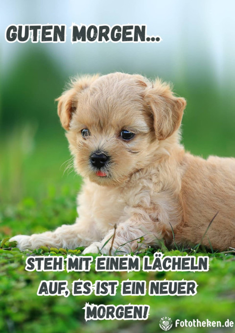 Steh mit einem Lächeln auf, es ist ein neuer Morgen!