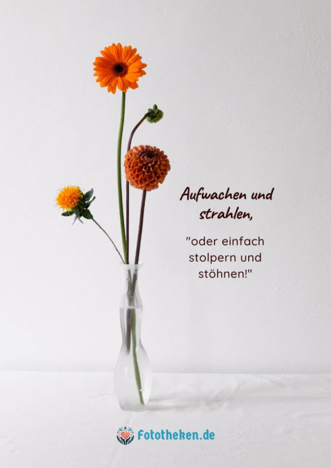 Aufwachen und strahlen, oder einfach stolpern und stöhnen!