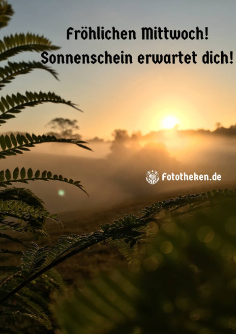 Fröhlichen Mittwoch! Sonnenschein erwartet dich!