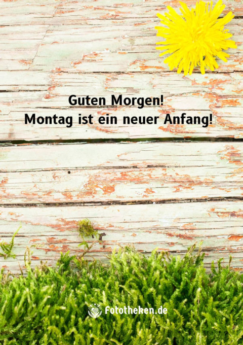 Guten Morgen! Montag ist ein neuer Anfang!