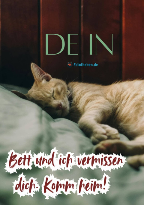 Dein Bett und ich vermissen dich Komm heim!