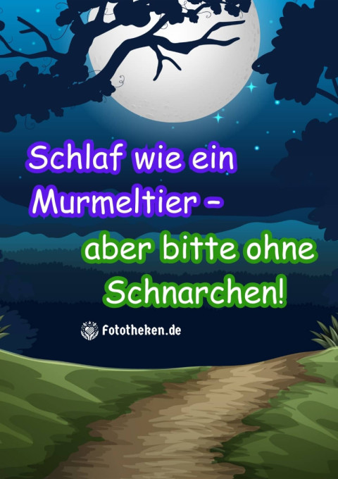 Schlaf wie ein Murmeltier – aber bitte ohne Schnarchen!