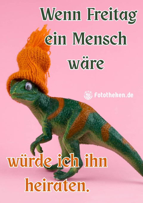 Wenn Freitag ein Mensch wäre, würde ich ihn heiraten