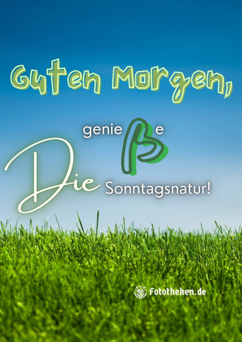 Guten Morgen, genieße die Sonntagsnatur!