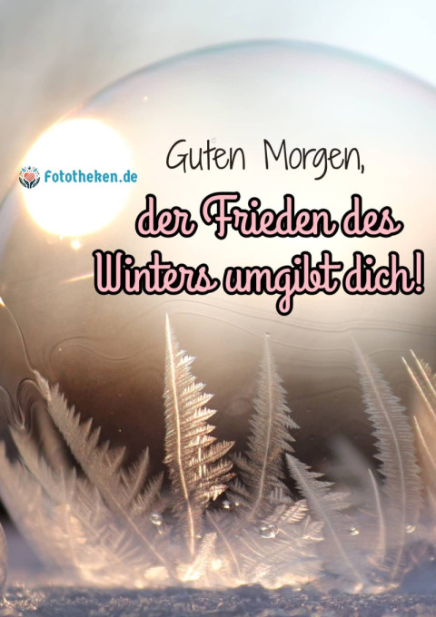 Guten Morgen, der Frieden des Winters umgibt dich!