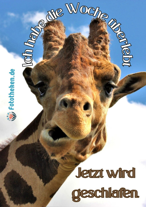 Ich habe die Woche überlebt  Jetzt wird geschlafen