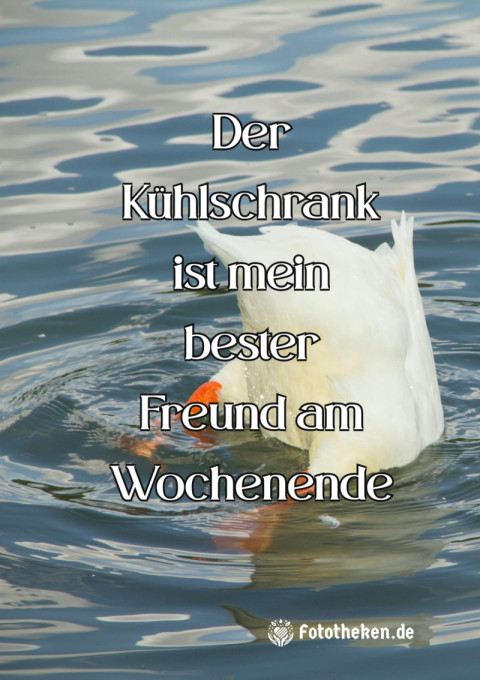 Der Kühlschrank ist mein bester Freund am Wochenende