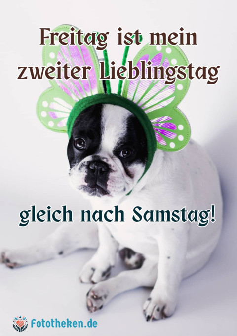 Freitag ist mein zweiter Lieblingstag – gleich nach Samstag!