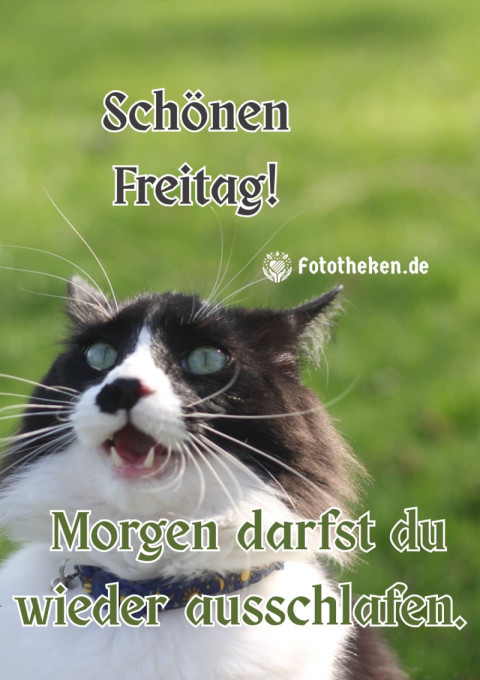 Schönen Freitag! Morgen darfst du wieder ausschlafen