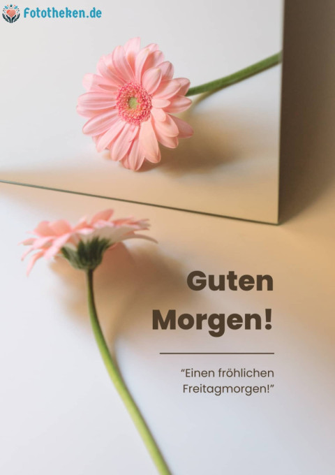 Einen fröhlichen Freitagmorgen!