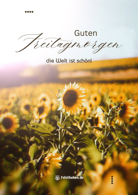 Freitagmorgen – die Welt ist schön!