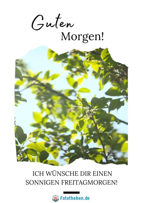 Ich wünsche dir einen sonnigen Freitagmorgen!