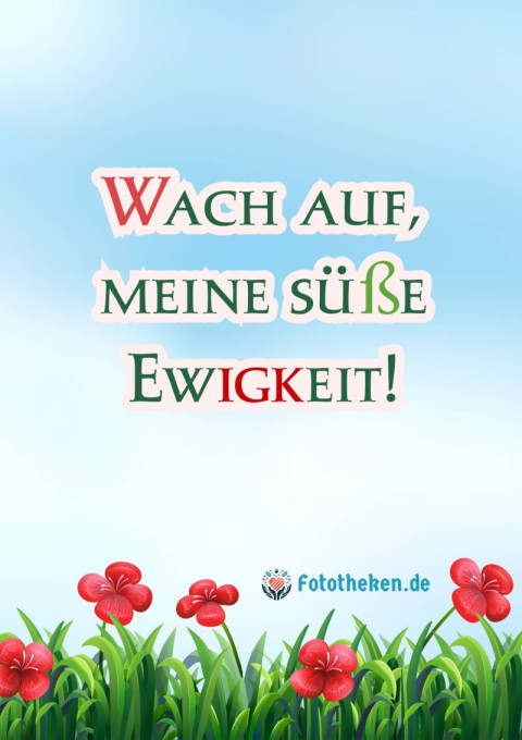 Wach auf, meine süße Ewigkeit!