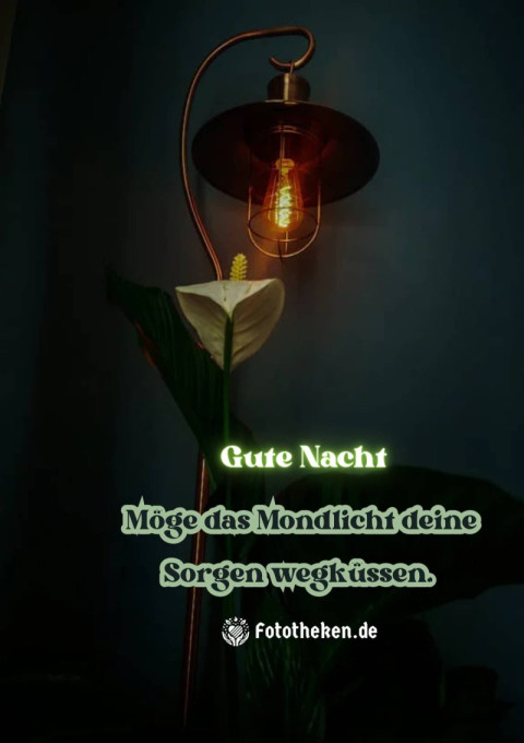 Gute Nacht! Möge das Mondlicht deine Sorgen wegküssen