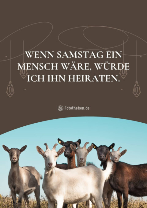 Wenn Samstag ein Mensch wäre, würde ich ihn heiraten