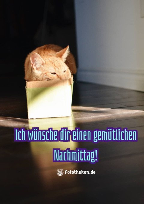 Ich wünsche dir einen gemütlichen Nachmittag!