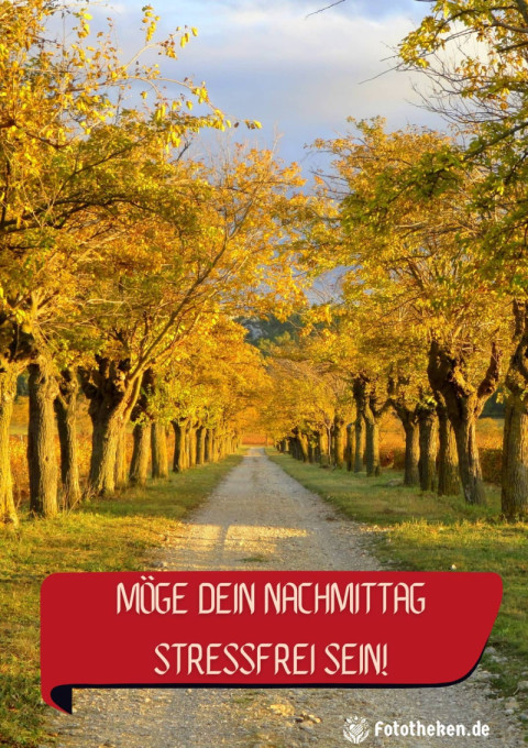 Möge dein Nachmittag stressfrei sein!