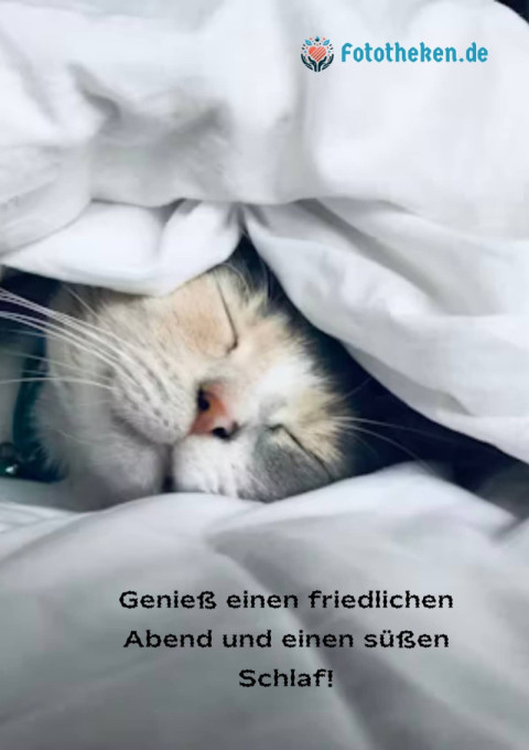 Genieß einen friedlichen Abend und einen süßen Schlaf!