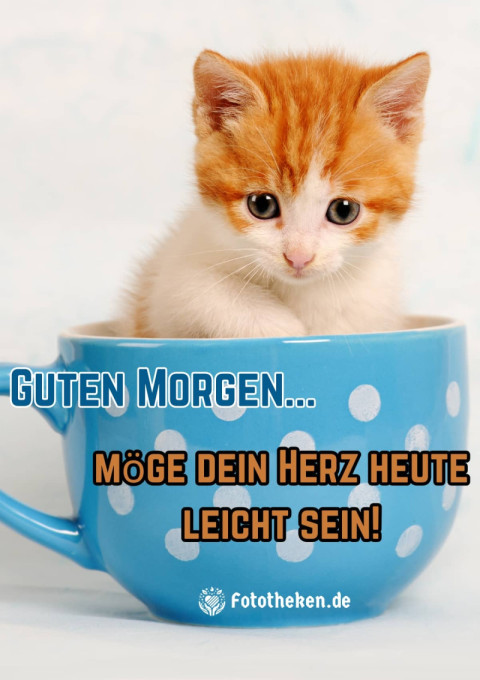 Guten Morgen, möge dein Herz heute leicht sein!