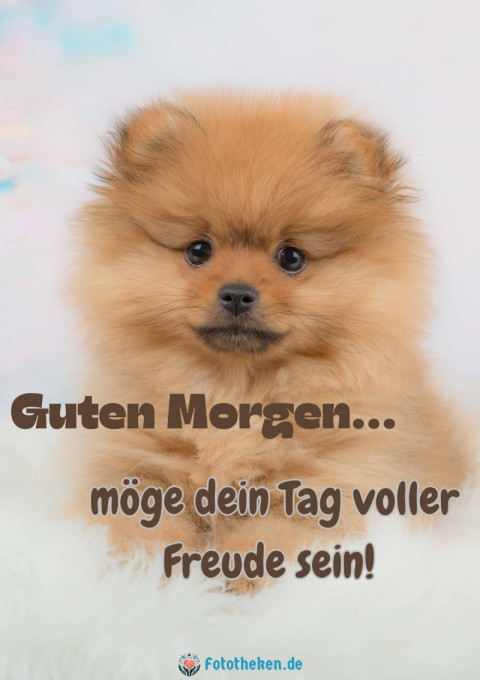 Guten Morgen, möge dein Tag voller Freude sein!