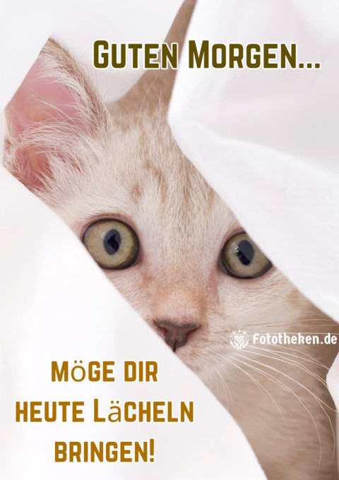 Guten Morgen, möge dir heute Lächeln bringen!